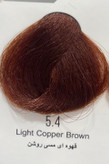 رنگ موی قهوه ای مسی روشن ویژوال ۱۲۰ میل