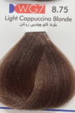 رنگ مو بلوند کاپوچینویی روشن اسکاتس حجم ۱۰۰ میل