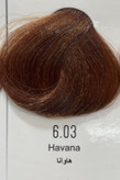 رنگ موی هاوانا پینک ویژوال ۱۲۰ میل