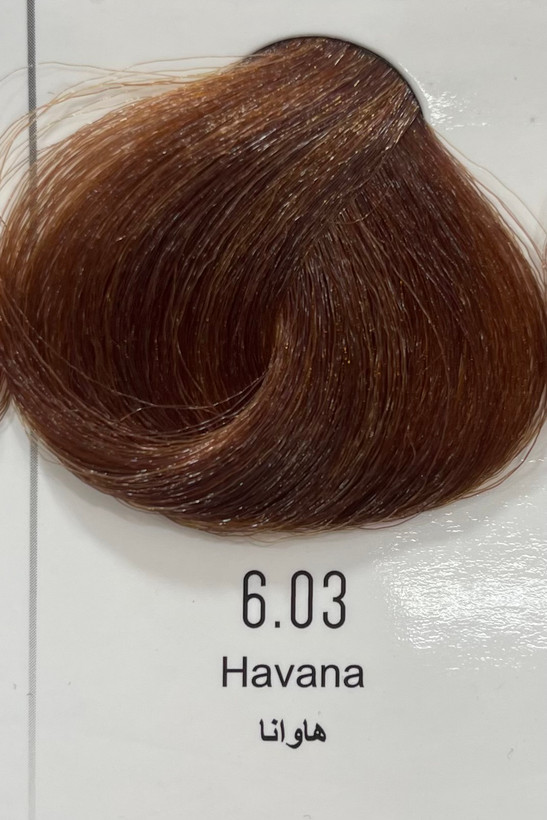 رنگ موی هاوانا پینک ویژوال ۱۲۰ میل